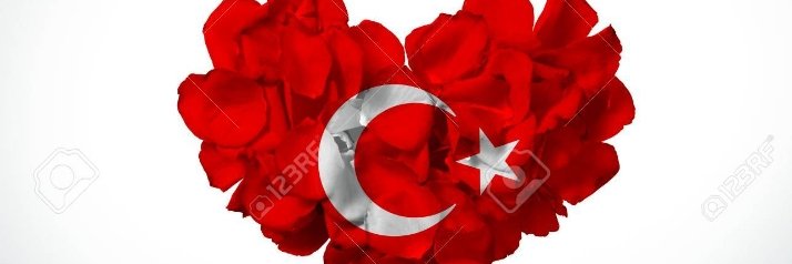 Gzelkadin4's profile banner image