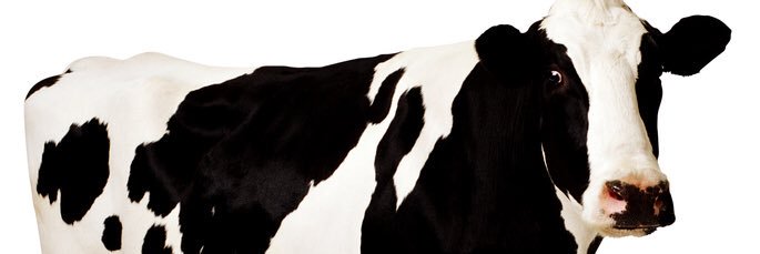 DevinHealy1's profile banner image