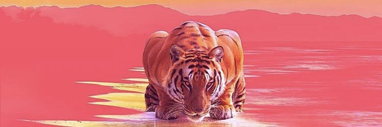 Jockinthebox_'s profile banner image
