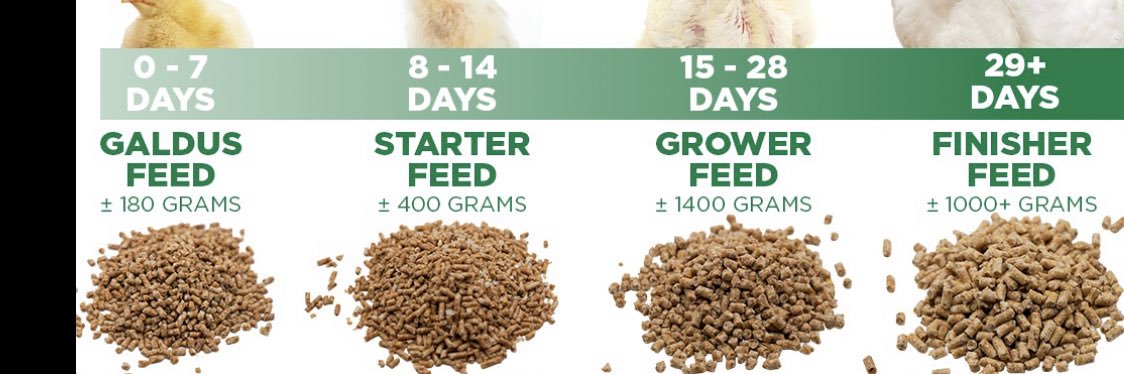 NATURENESTFARM's profile banner image