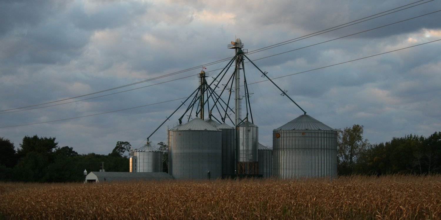 beavsgf's profile banner image
