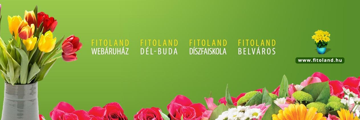 Fitoland's profile banner image