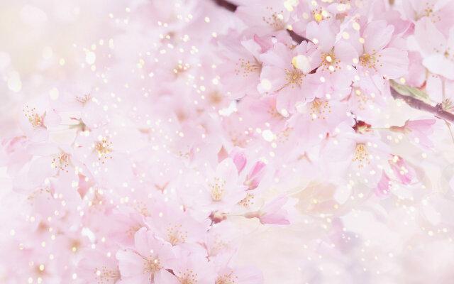 tikaaverse's profile banner image