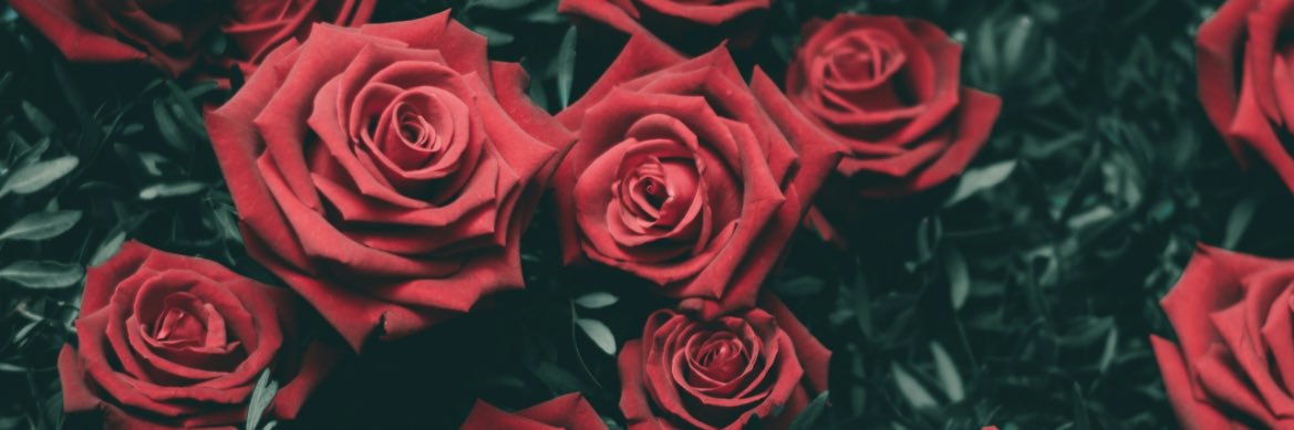 _monayy's profile banner image