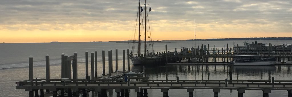 bzigmont's profile banner image