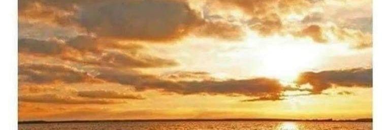 MPSegrest's profile banner image