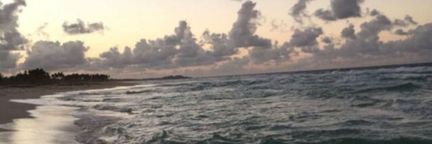 jjuniebugx's profile banner image