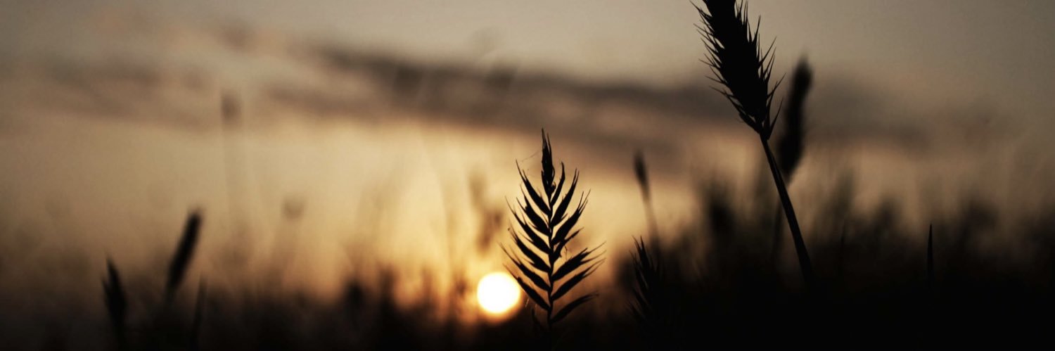 szekp's profile banner image
