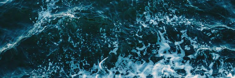 Zachary Sadow banner