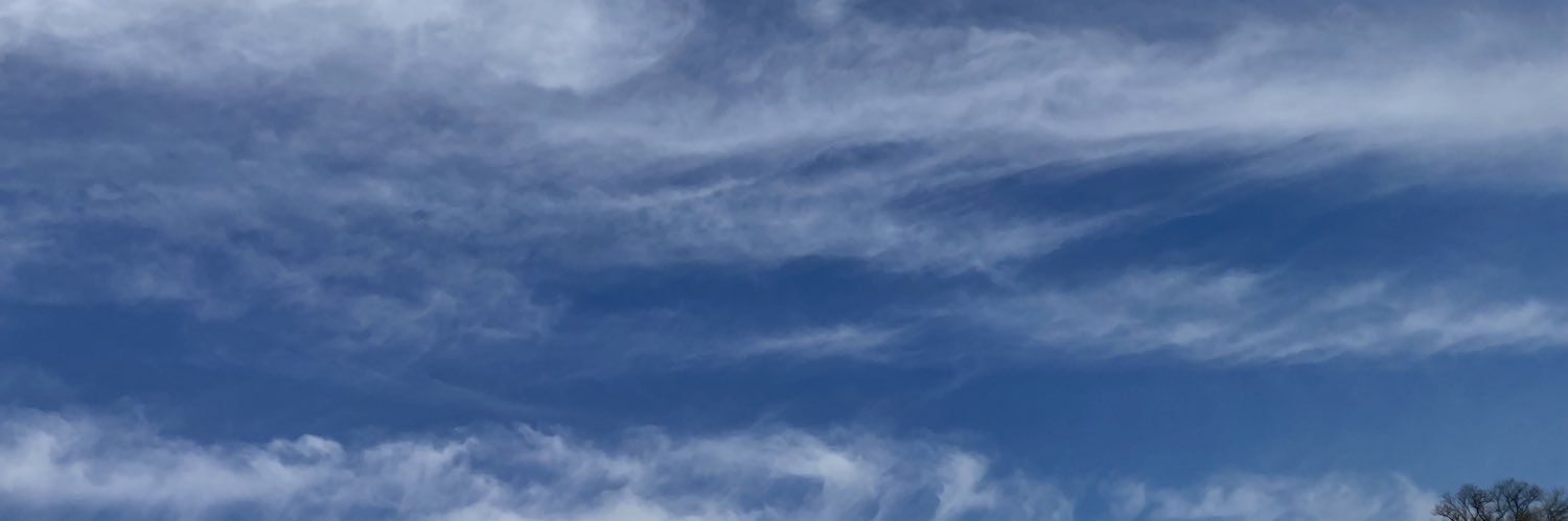 Anderson banner