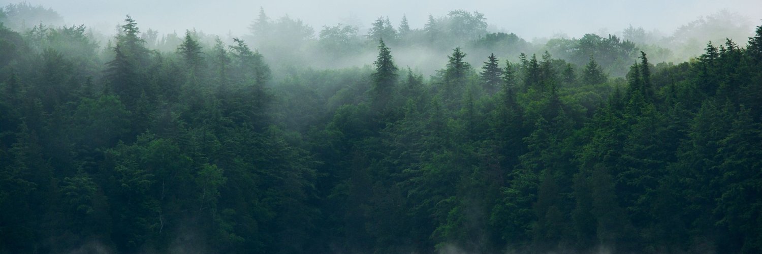 MariaFLeonardi's profile banner image