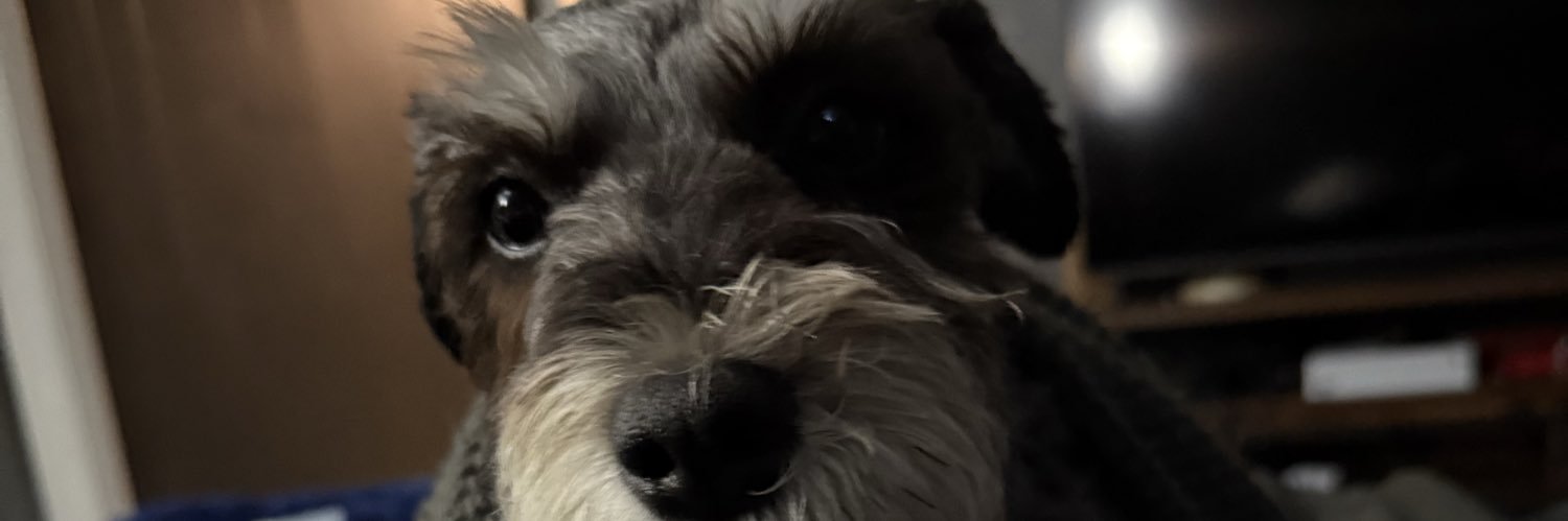 wdodds's profile banner image