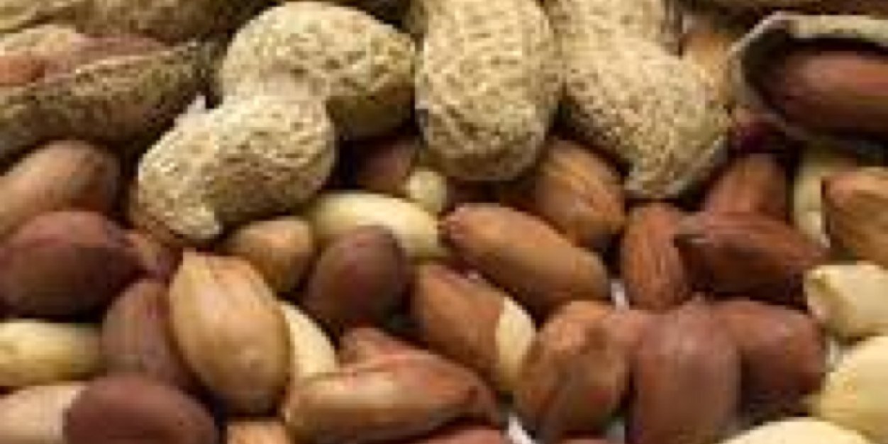 alexa_peanut's profile banner image