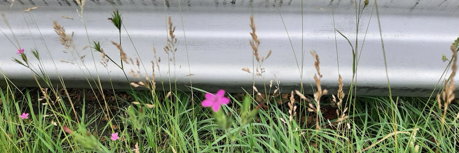 charles a. cavatica 🕷️ banner