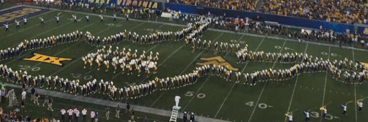 Alex Cheesbrew banner