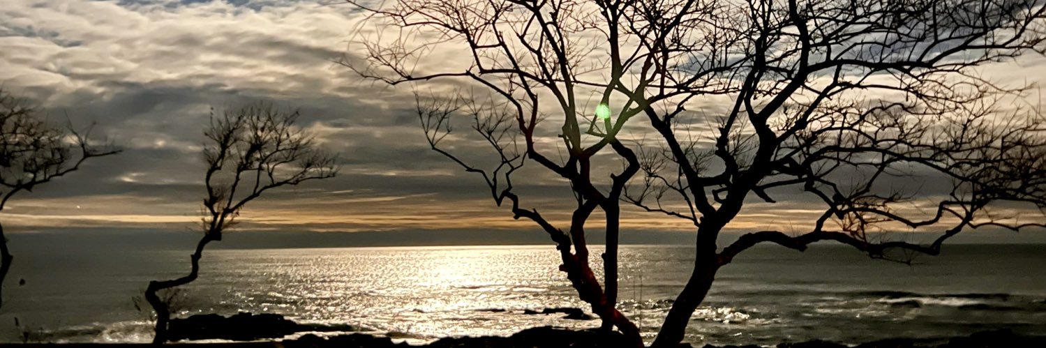 HallHomeGroup's profile banner image
