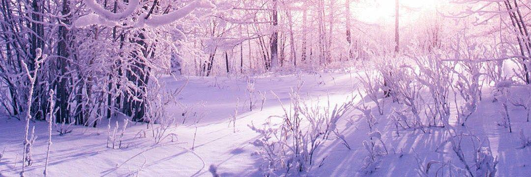 Miss Bawadeer banner