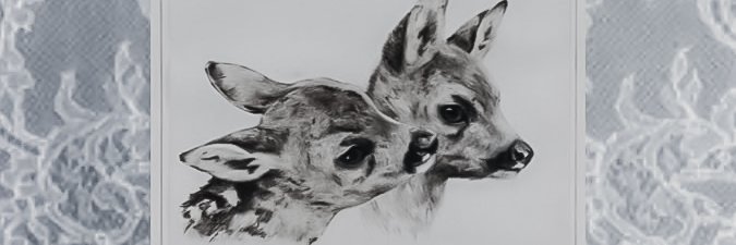 allureCHIARA's profile banner image