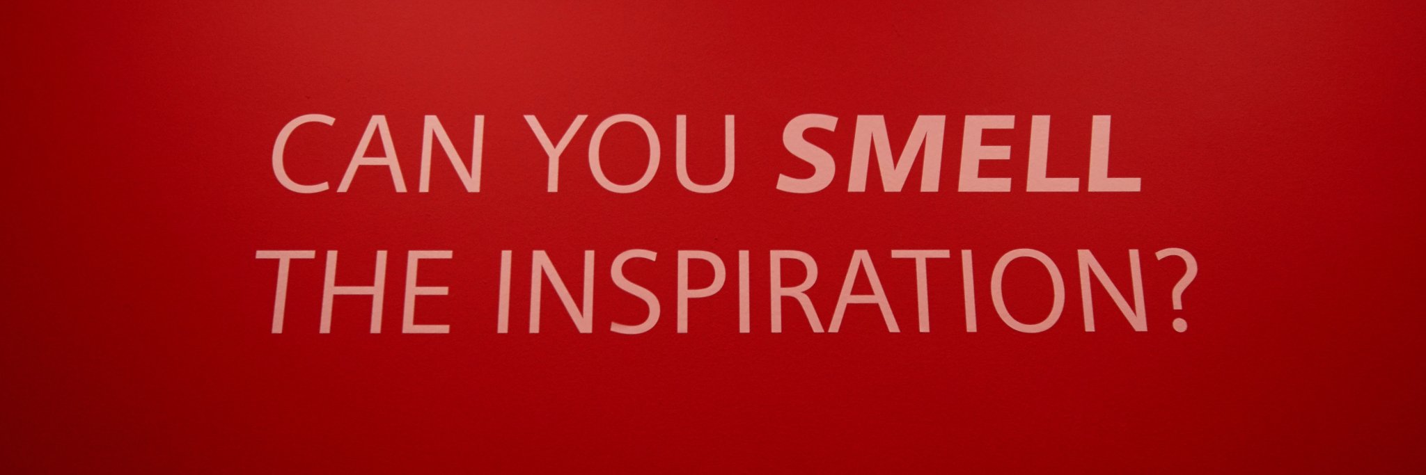 maroviphoto's profile banner image