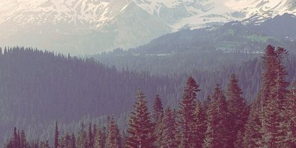 MegCath's profile banner image