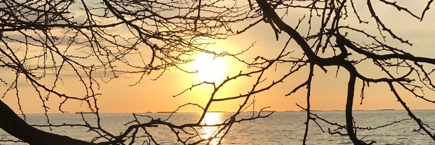 lauragt8's profile banner image