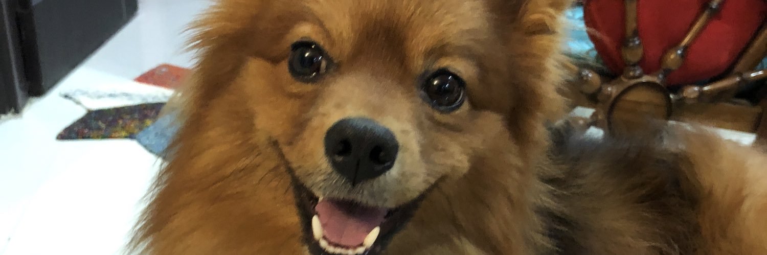 karmafollower89's profile banner image
