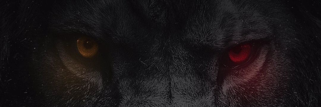serefbalci53's profile banner image