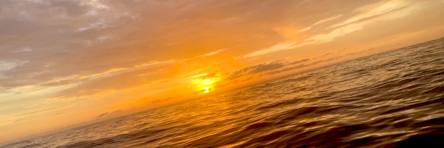 nel_flores's profile banner image
