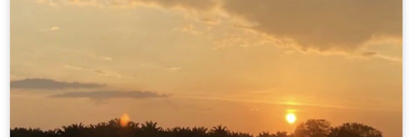 zrkhns's profile banner image
