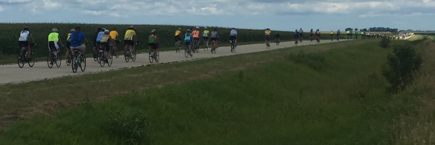 Elias Eells- Bar Cart Bookshelf banner