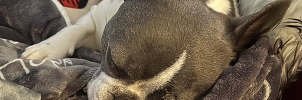 heathernoellemc Profile Banner