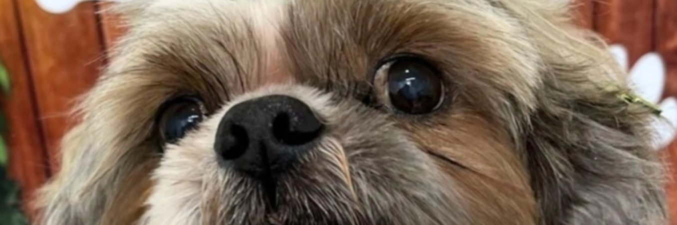 sandra_machry's profile banner image