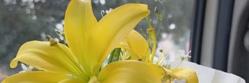 Anamikagb's profile banner image