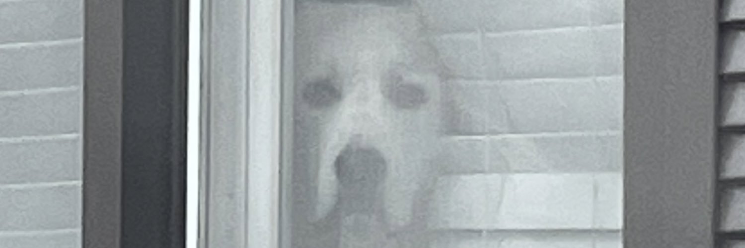 KevinBartramIRL's profile banner image