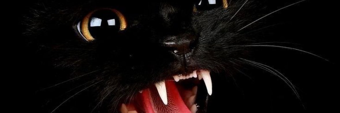 _everythingkey's profile banner image