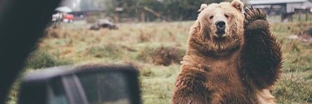 BryanOchoa_'s profile banner image