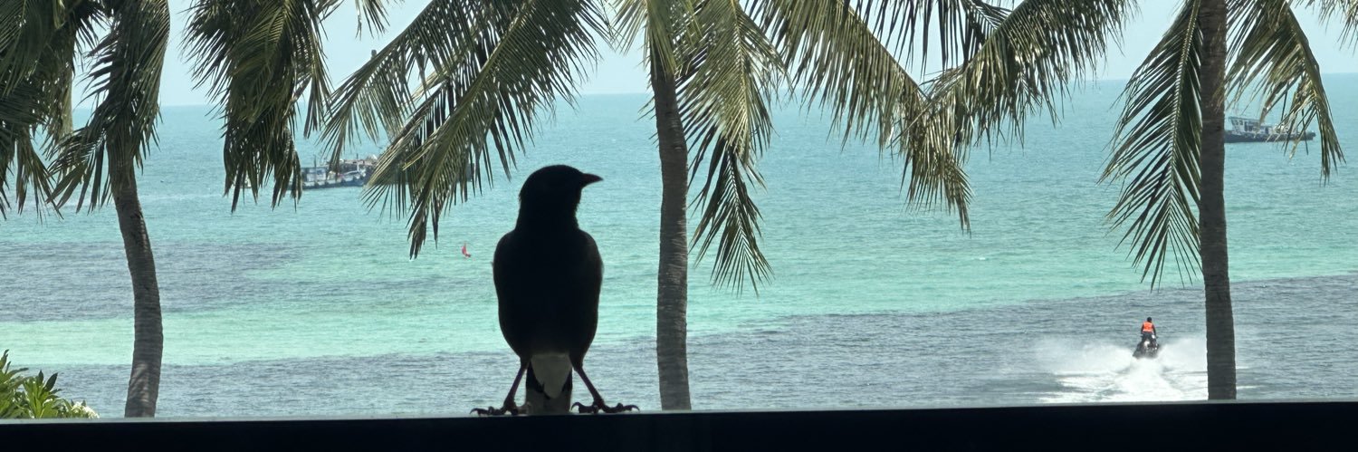 sabako's profile banner image