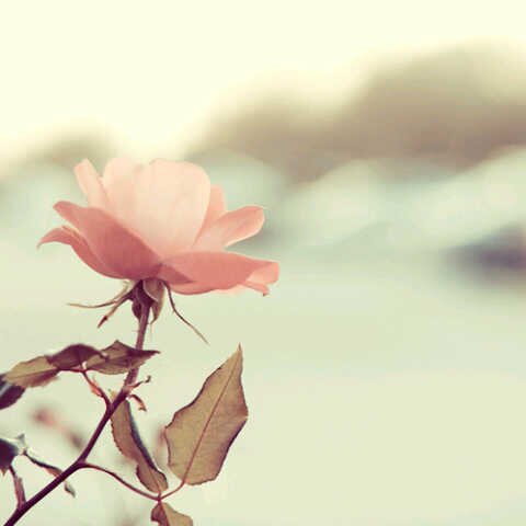 hasitaaa's profile banner image