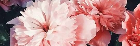 CbBarnett0's profile banner image
