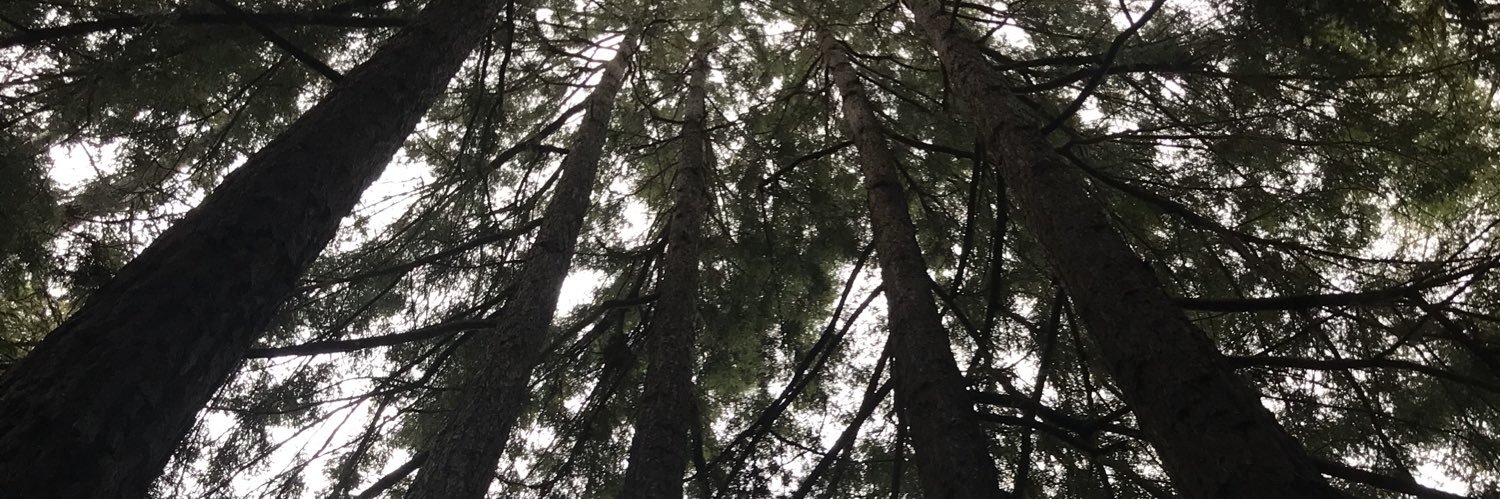 vickycyo_'s profile banner image