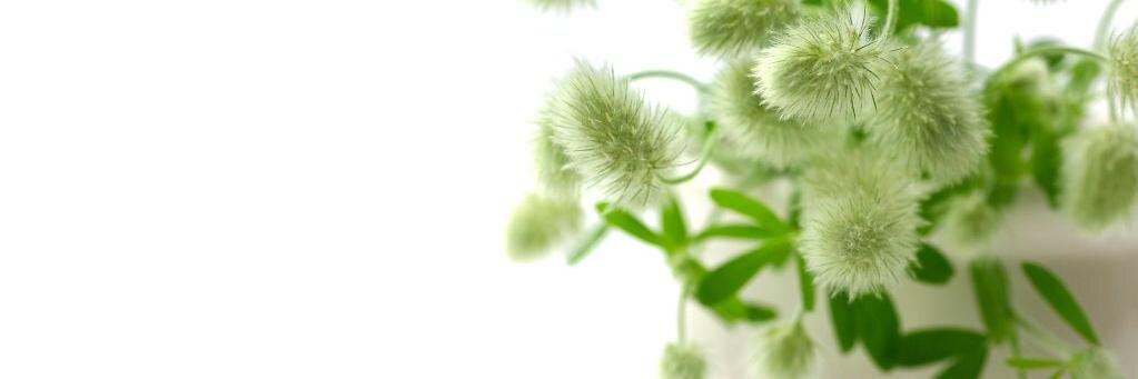 七海 banner
