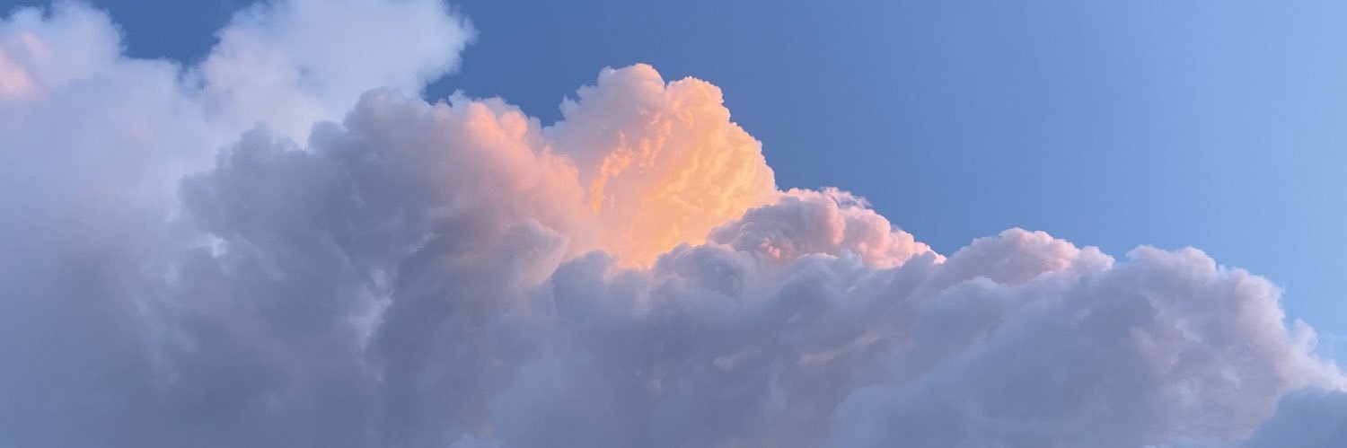 AmriCastaneda's profile banner image