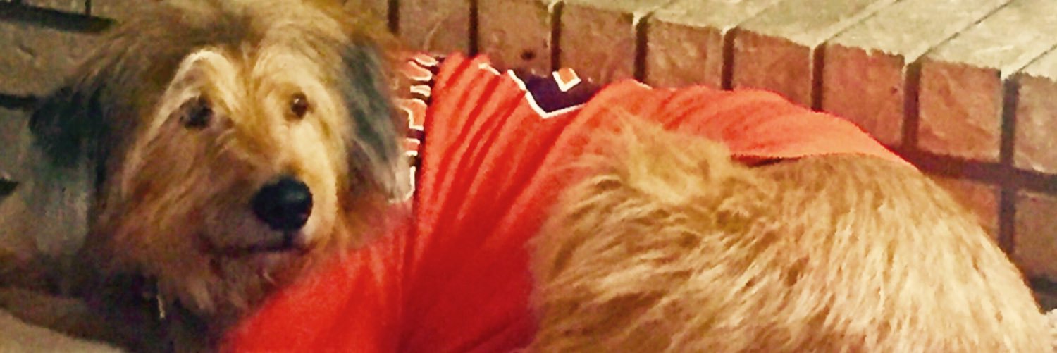 DevinSReed's profile banner image