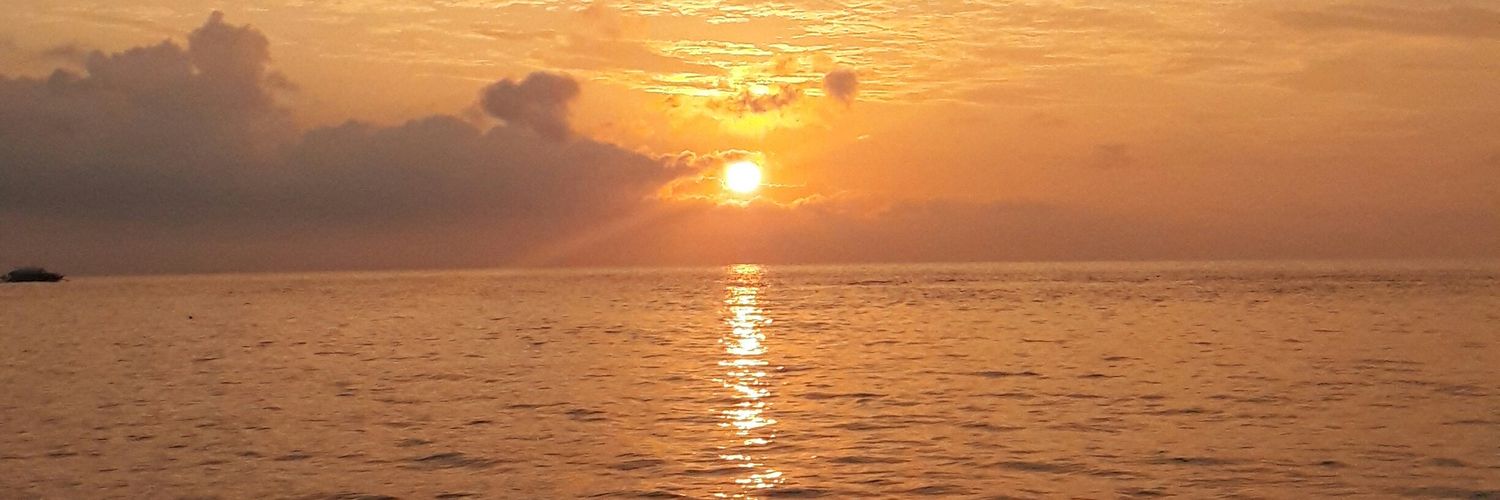 theagots's profile banner image
