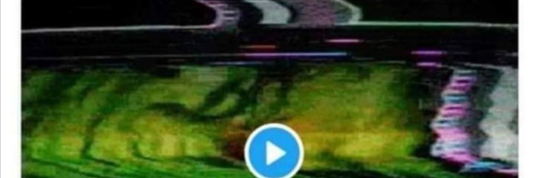 quechimbasoo's profile banner image