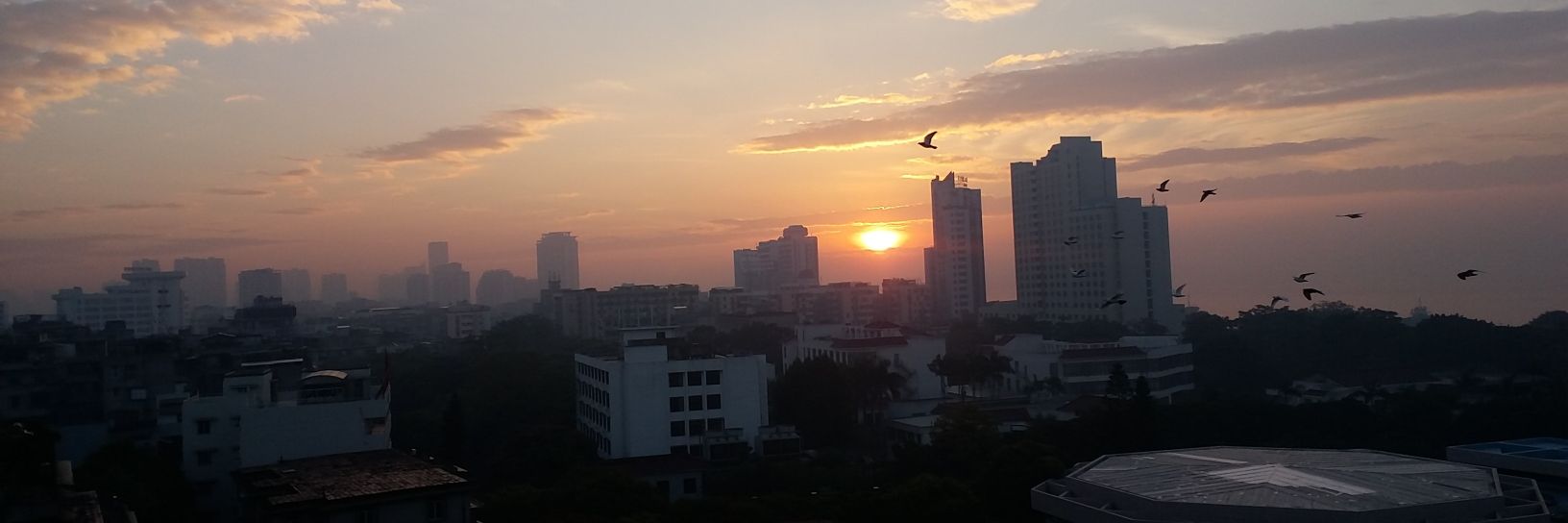 PhutriMahardika's profile banner image