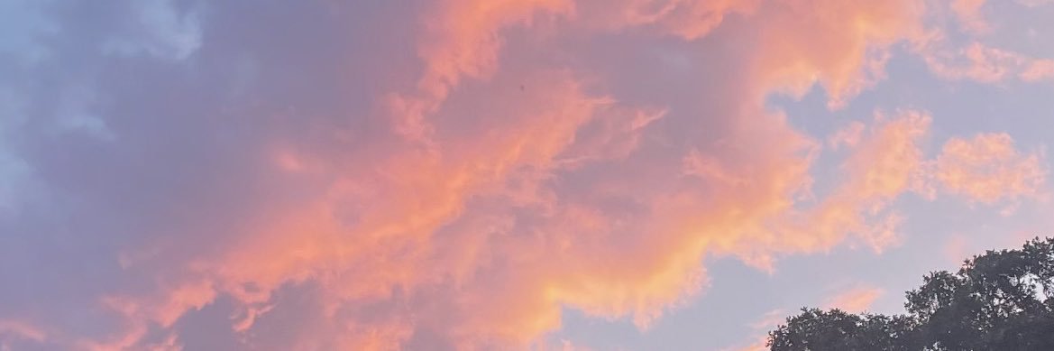 Demure Reason banner