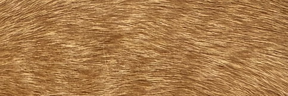 mnntk's profile banner image