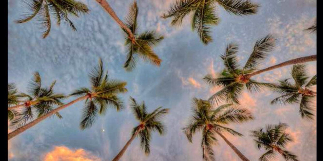 Bimj_'s profile banner image