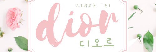 DIOR banner